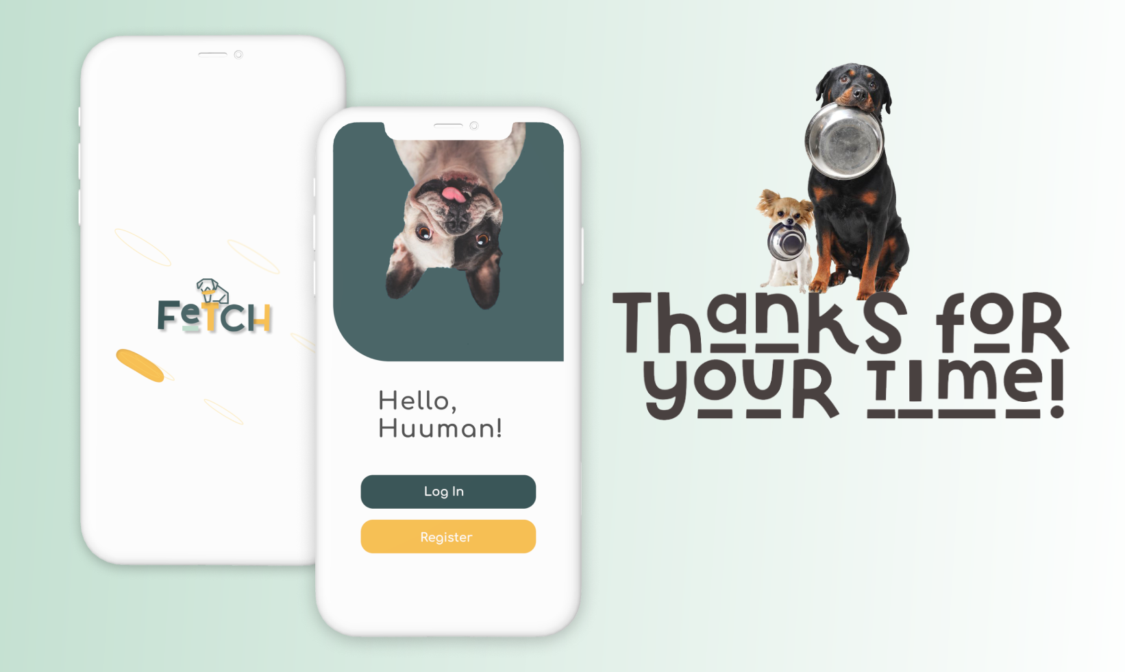 Fetch project